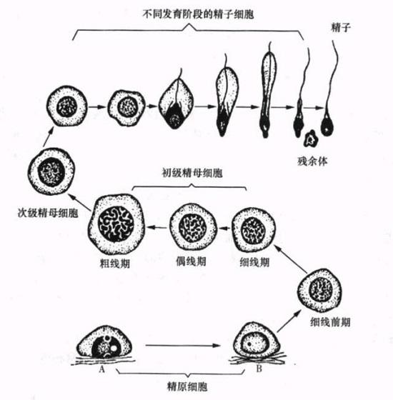 医药_财经_中国网