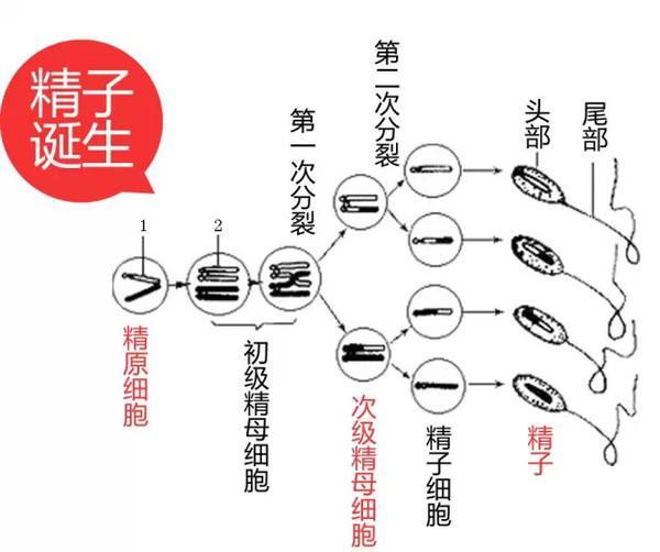 证券频道-中国日报网