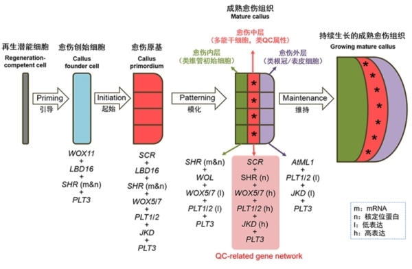 指数期货分析钛渣新闻热点黑色金属大宗商品钢铁行业资讯信息-我的钢铁网
