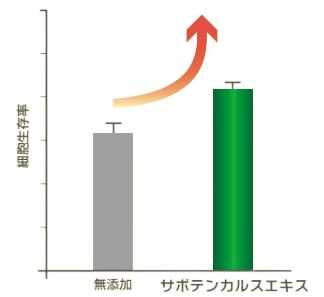 肌肤焕新密钥EXO DOLL精华揭秘干细胞神奇魔法(图9)