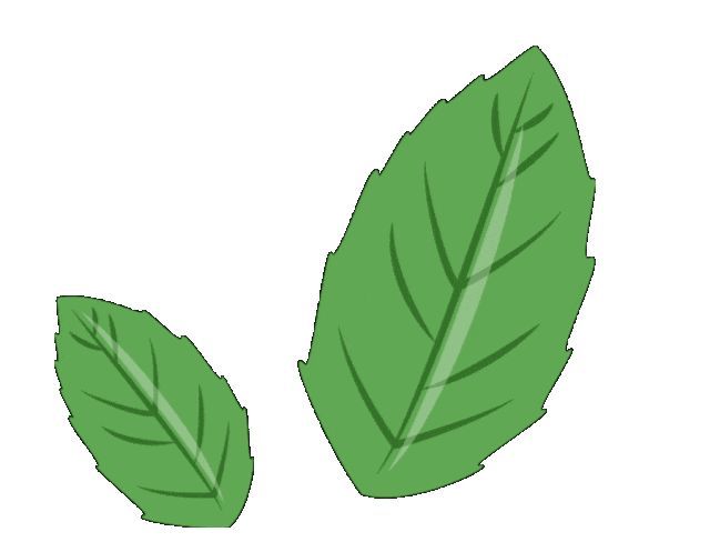 从气候承诺到价值实践美妆行业ESG需加速落地 全球观察·ESG(图2)