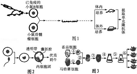 深化科产融合 云南国资国企书写新质生产力优质答卷