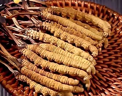 年度智商税大盘点一年花的20笔冤枉钱！(图13)