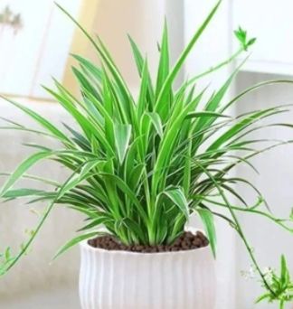 年度智商税大盘点一年花的20笔冤枉钱！(图18)