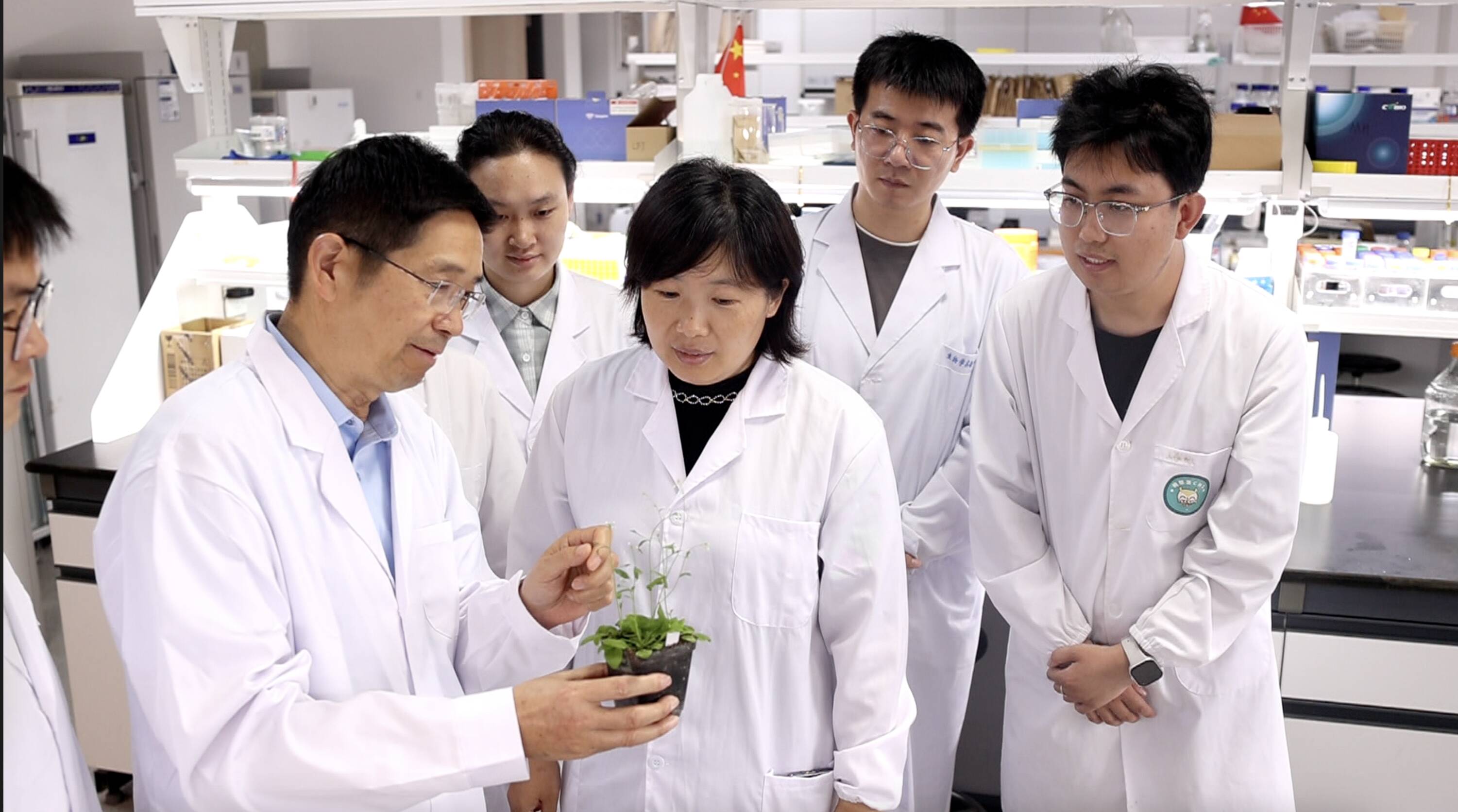 “质”胜2025丨新科技新产品 “硬核”激发产业活力