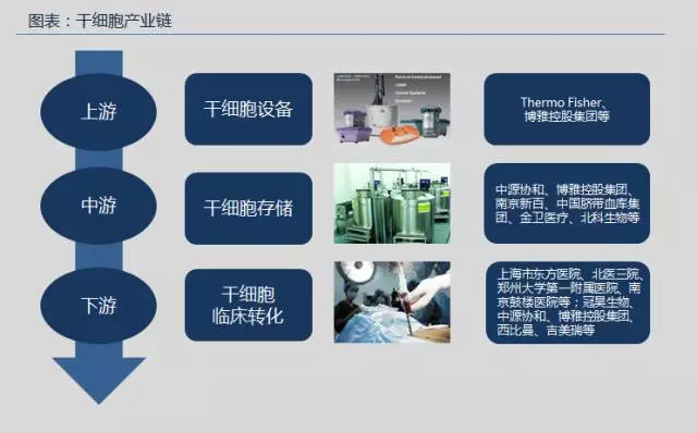 干细胞市场分析干细胞治疗市场布局及未来发展方向(图2)