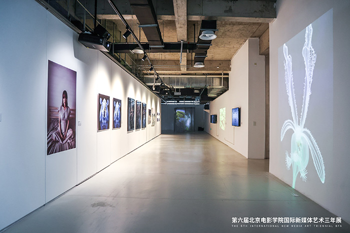 第六届北京电影学院国际新媒体艺术三年展启幕(图12)