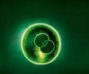 社会新闻滚动新闻-中国网-梳理天下