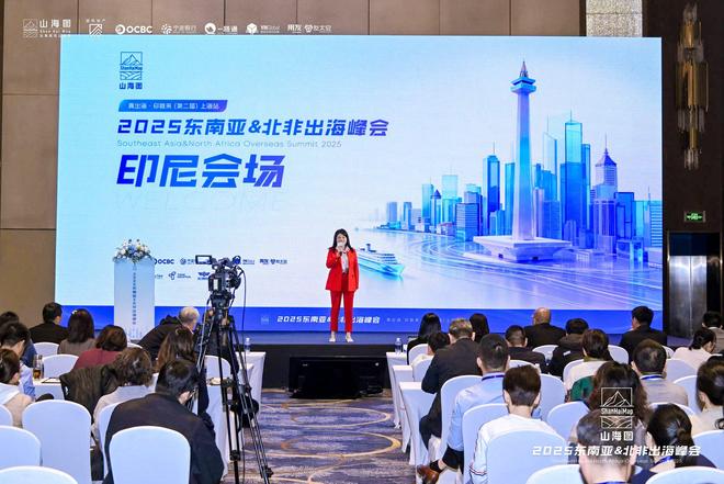 2025东南亚北非出海峰会成功举办 3000家企业同聚一堂共话出海新机遇(图9)
