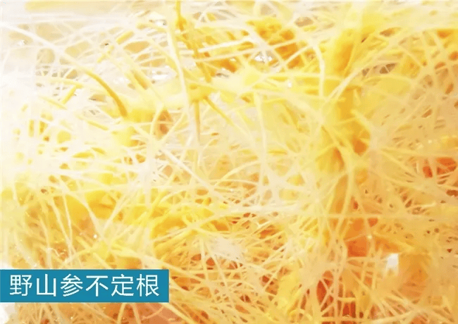 40多家媒体聚焦报道安然植物干细胞技术(图2)