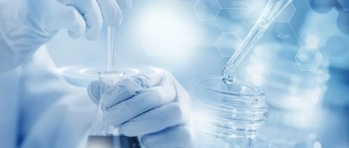 怎样提取干细胞中的蛋白