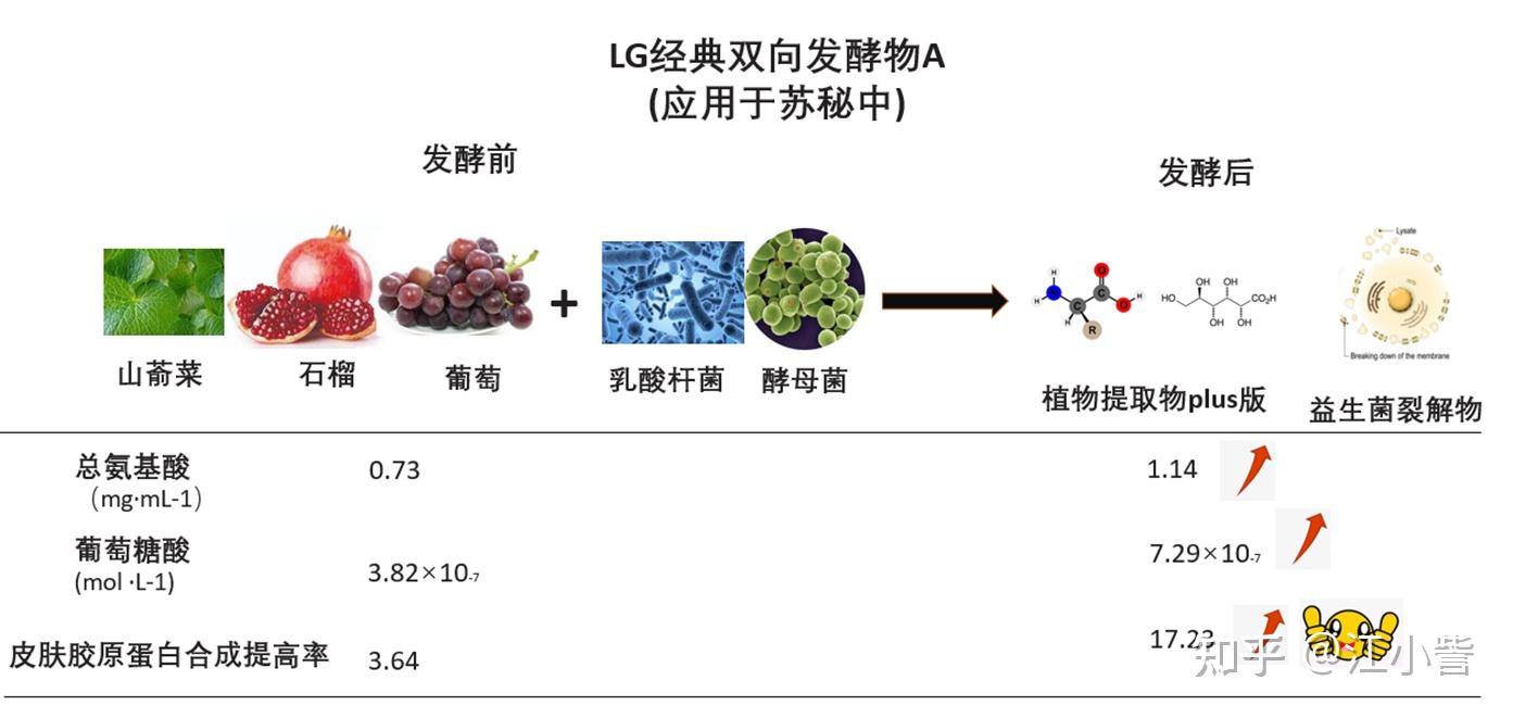 2013年舒马赫昏迷妻子科琳娜9年花20亿救夫卖车卖房也不放弃