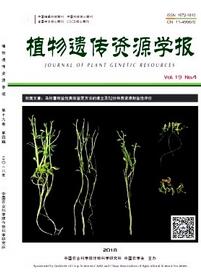 【破局2026】对话星桥资本：政策、资本、技术三重共振下2026迎来融资大年