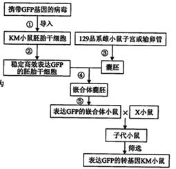 安然获评山东省数字经济产业创新中心