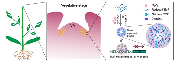 江门市科学技术局