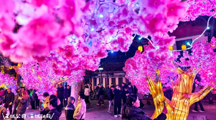 2026全国元宵灯会人气榜单TOP10 厦门园博苑灯会跻身全国前三(图8)