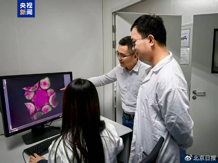 中国干细胞研究项目超过860个位于世界第一梯队