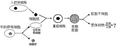 2026 养发加盟白皮书：万亿风口下的稳健创业指南