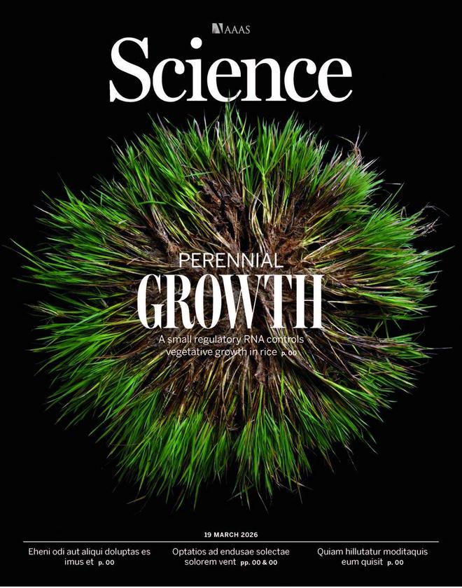 当科研可以“不卷”论文当喝杯咖啡就有新伙伴创新的故事或许就将开场(图3)