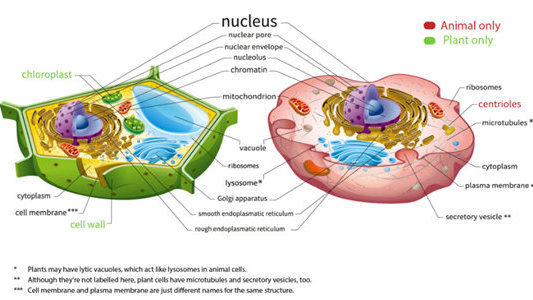 看青岛“科创种子”如何在亳州开花结果→