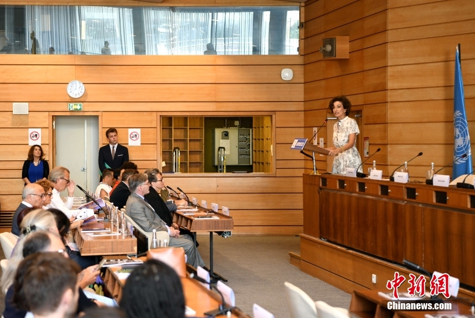 联合国教科文组织艺术藏品精华展在巴黎亮相(图4)