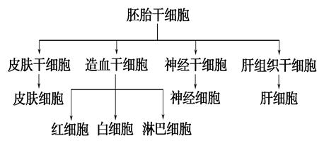富国安慧短债债券E