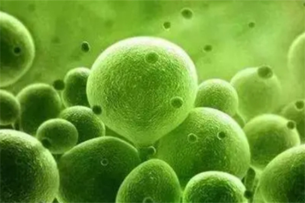 成都普济中医肿瘤医院是骗子吗？正规医疗专业抗癌的信赖之选！