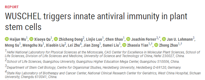 高速增长背后的研发挑战及对策！我国生物医药产业概况探究