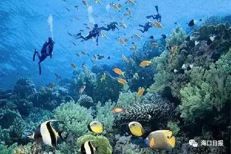 震撼！海口奋力迈向“深蓝”2020年海洋产业总产值将突破600亿！(图4)