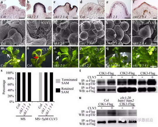 武汉被誉为是一个“花花世界”的城市武汉为何有这样一个名称呢