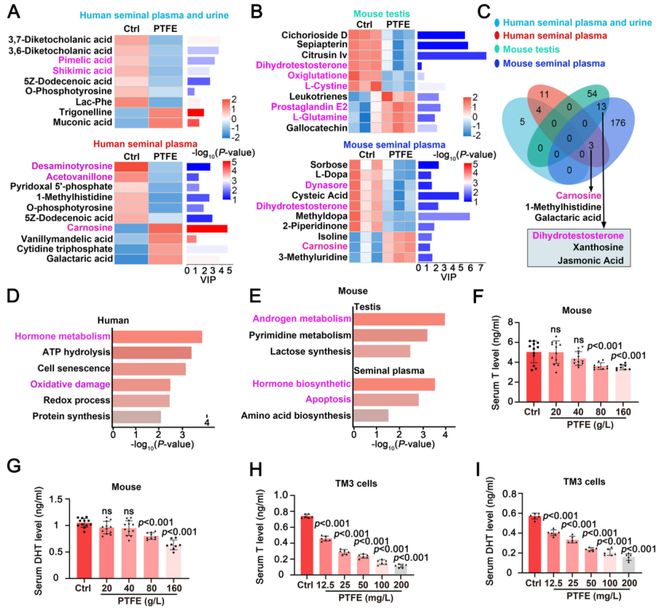 浙大院士团队新发现：不粘锅涂层产生的微塑料会损害男性生育力并提出新型修复疗法！(图5)