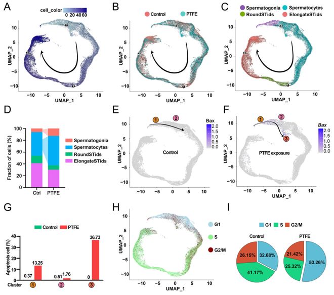 浙大院士团队新发现：不粘锅涂层产生的微塑料会损害男性生育力并提出新型修复疗法！(图7)