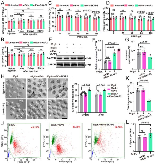 浙大院士团队新发现：不粘锅涂层产生的微塑料会损害男性生育力并提出新型修复疗法！(图9)