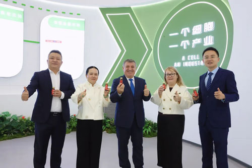 护肤品行业现状与发展趋势分析(2026年)