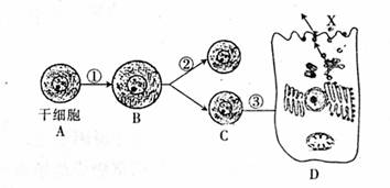 这名90后说：“能帮到人就是缘分”