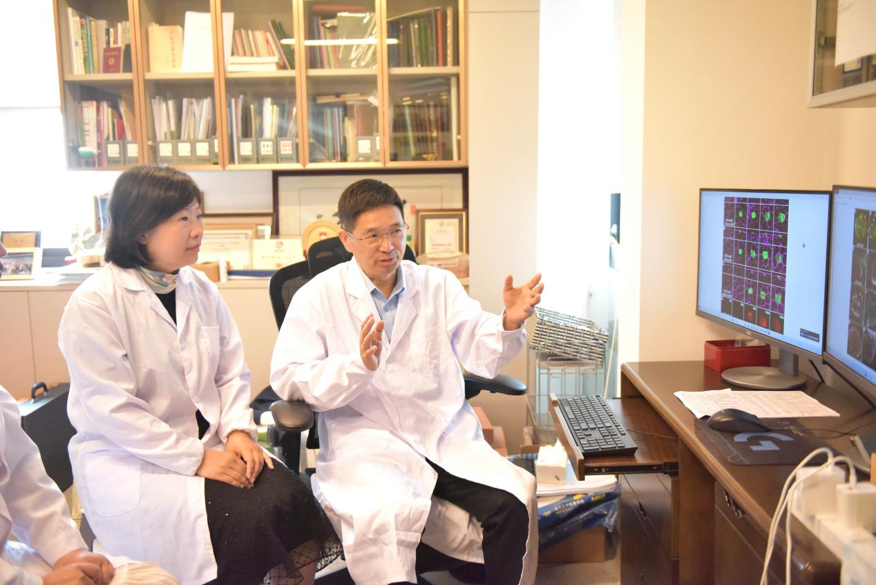 科研新突破！我国科学家破解植物细胞全能性世纪难题(图3)