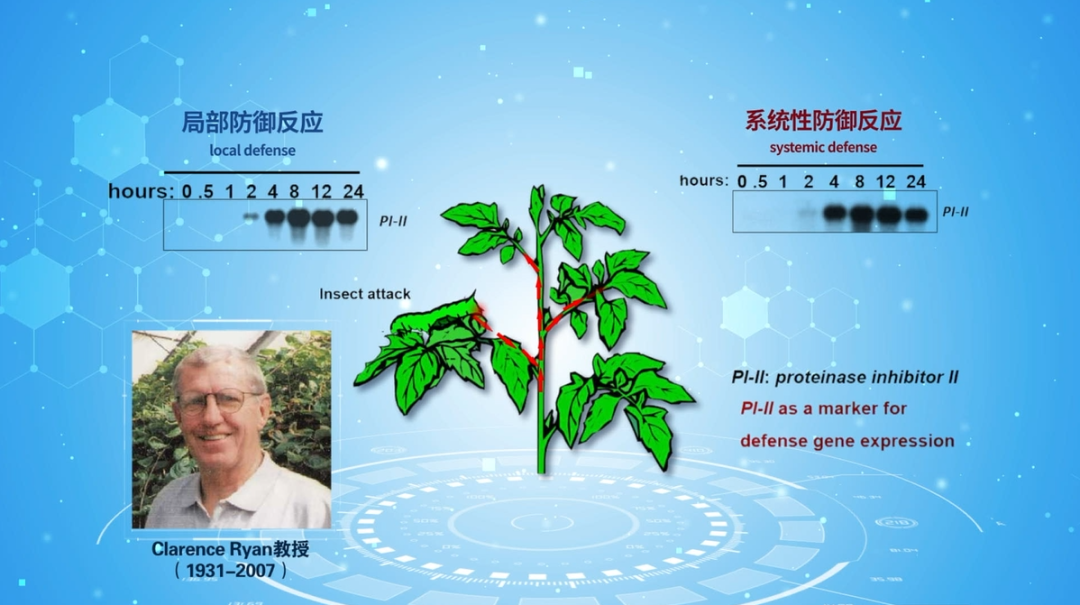 重磅！山东农大这位教授获国际顶尖学界“最高荣誉”(图2)