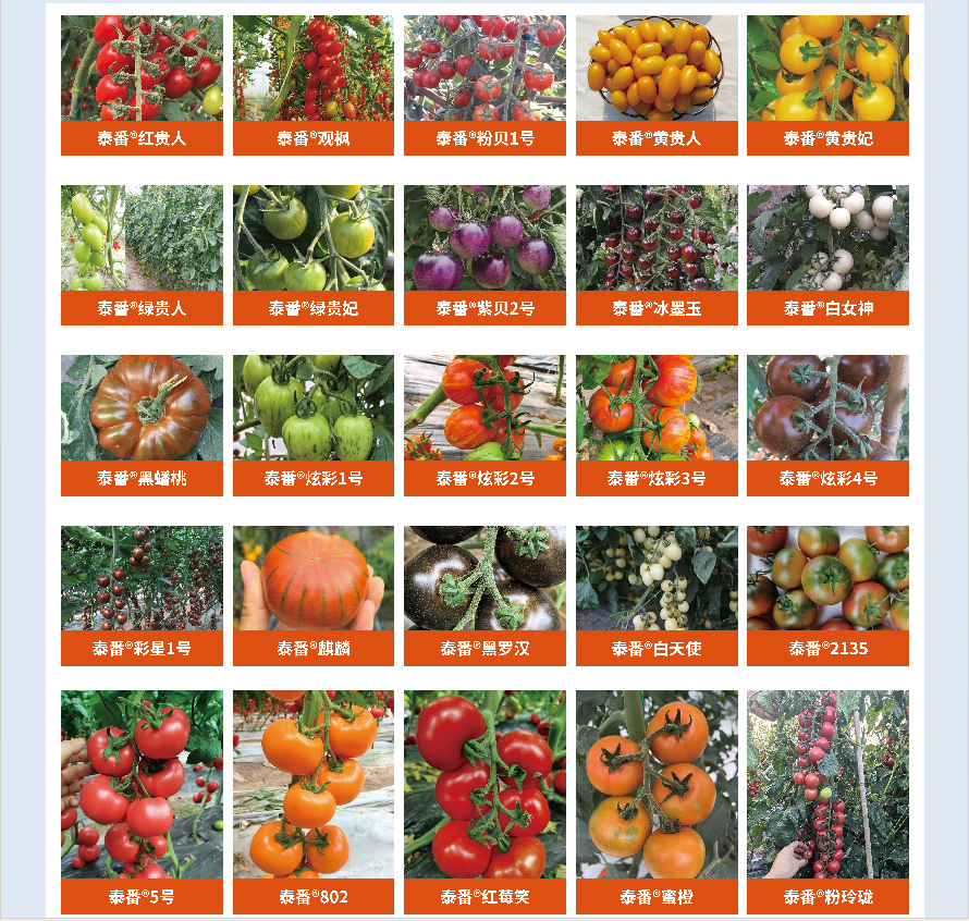 重磅！山东农大这位教授获国际顶尖学界“最高荣誉”(图16)