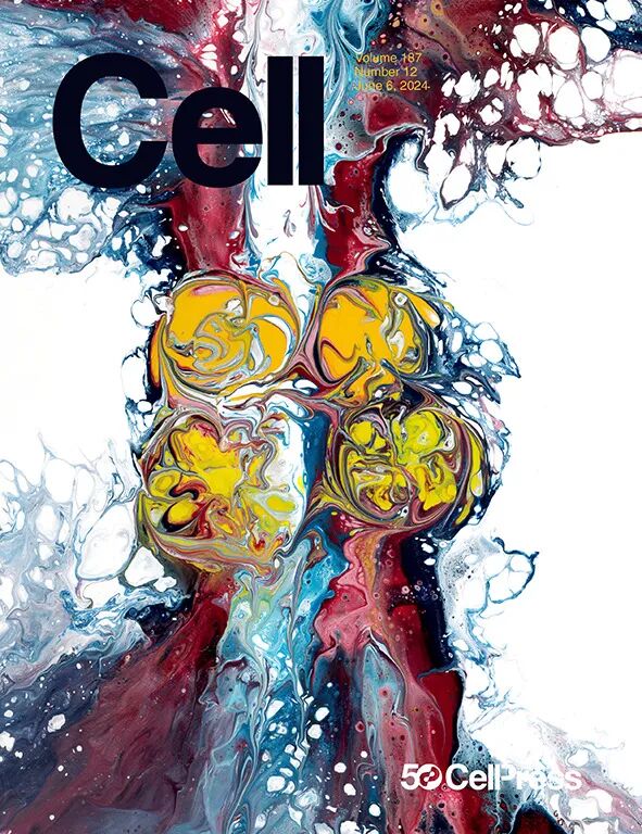 重磅！山东农大这位教授获国际顶尖学界“最高荣誉”(图7)