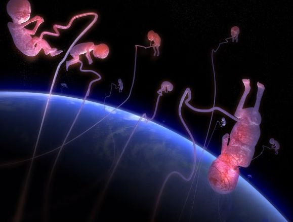 太空孕育：分娩安全性与婴儿健康新探讨(图4)