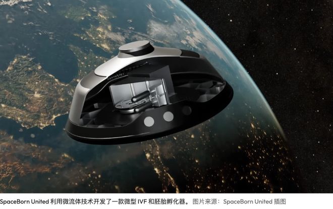 太空孕育：分娩安全性与婴儿健康新探讨(图6)