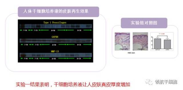 综述：光辅助3D生物打印坚韧水凝胶及其生物医学应用