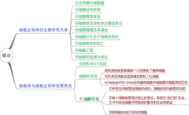 喜报！石嘴山市消防救援支队前进路特勤站党支部荣获“全区先进基层党组织”荣誉称号
