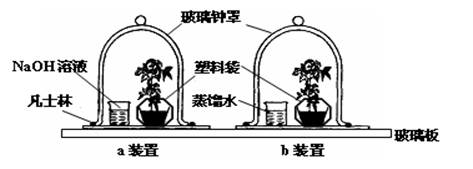 突破性发现：干细胞起源揭晓或重塑再生医学未来！