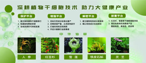央视曝光免费注射干细胞骗局伪科学陷阱揭秘